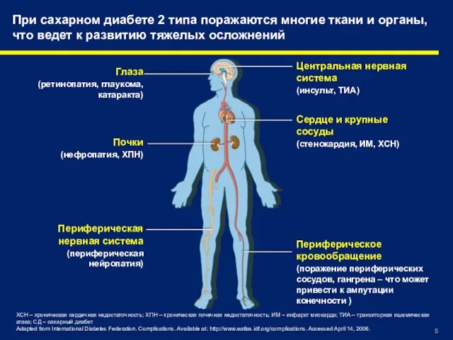 Глаза (ретинопатия, глаукома, катаракта) Центральная нервная система (инсульт, ТИА) Сердце и крупные