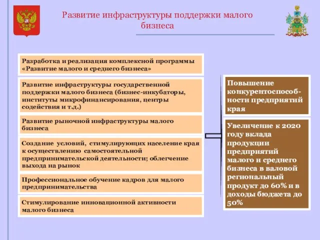 Развитие инфраструктуры поддержки малого бизнеса Создание условий, стимулирующих население края к осуществлению