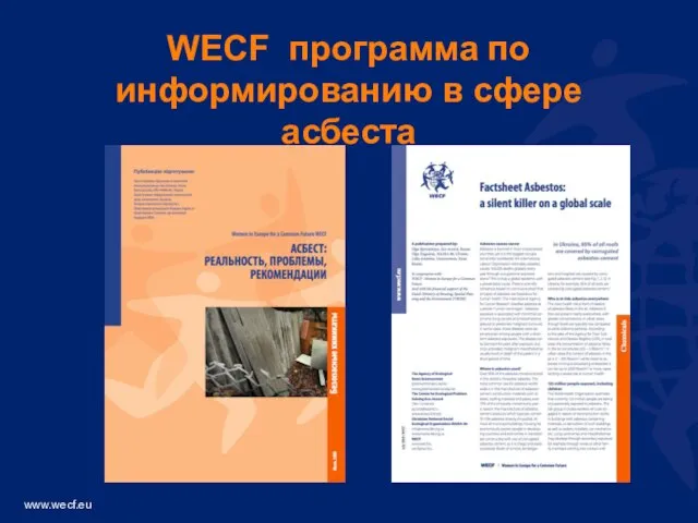 WECF программа по информированию в сфере асбеста