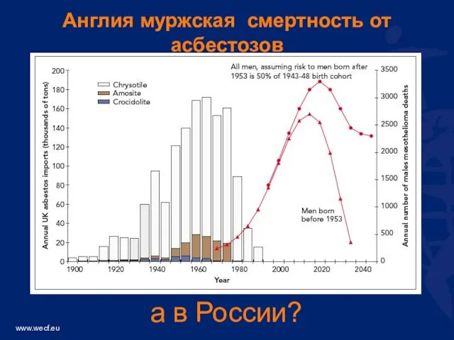 Англия муржская смертность от асбестозов а в России?