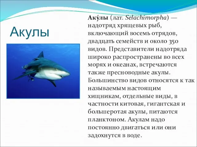 Акулы Аку́лы (лат. Selachimorpha) — надотряд хрящевых рыб, включающий восемь отрядов, двадцать