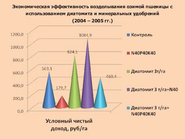 Экономическая эффективность возделывания озимой пшеницы с использованием диатомита и минеральных удобрений (2004 – 2005 гг.)