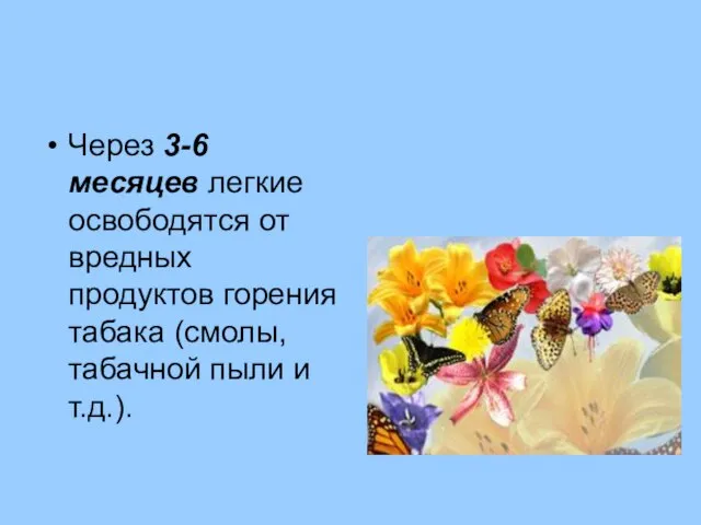 Через 3-6 месяцев легкие освободятся от вредных продуктов горения табака (смолы, табачной пыли и т.д.).