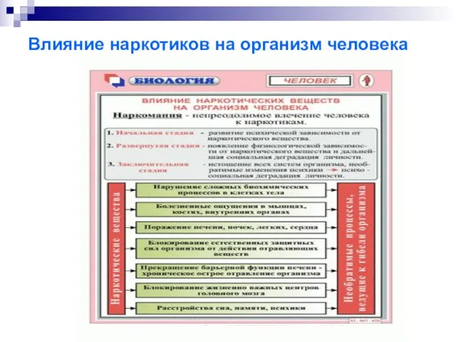 Влияние наркотиков на организм человека