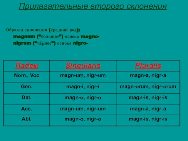 Прилагательные второго склонения Образец склонения (средний род): magnum (“большое”) основа magno- nigrum (“чёрное”) основа nigro-