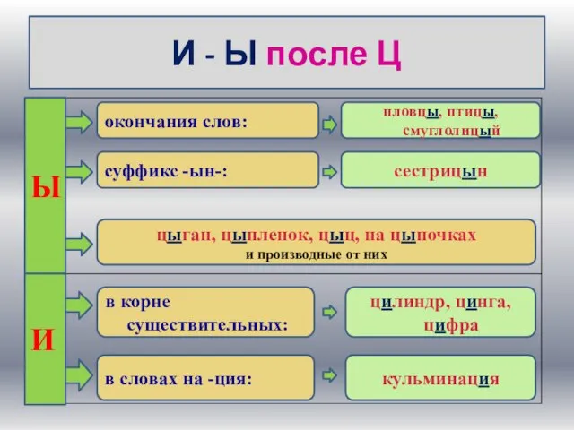 И - Ы после Ц Ы И окончания слов: суффикс -ын-: цыган,