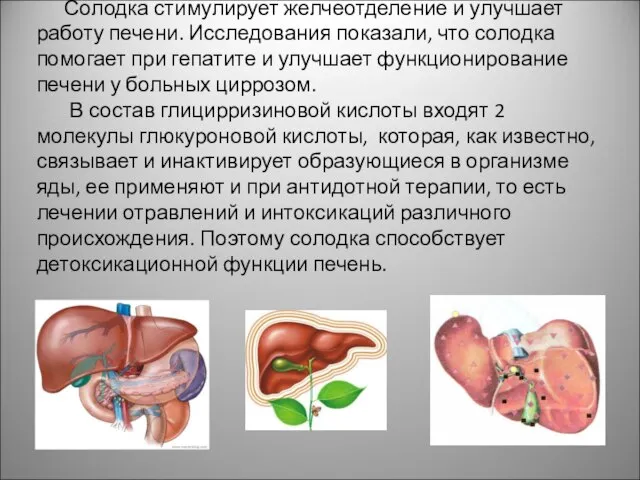 Солодка стимулирует желчеотделение и улучшает работу печени. Исследования показали, что солодка помогает