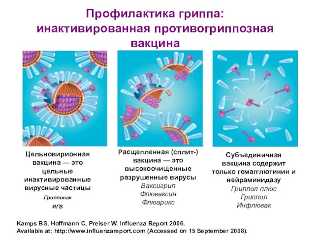 Профилактика гриппа: инактивированная противогриппозная вакцина Kamps BS, Hoffmann C, Preiser W. Influenza