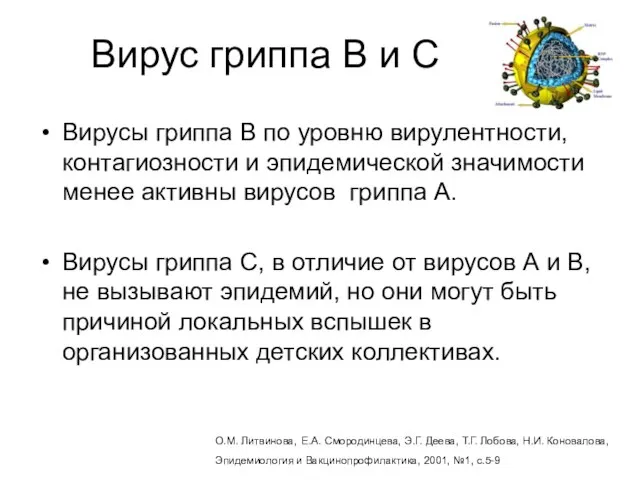 Вирус гриппа В и С Вирусы гриппа В по уровню вирулентности, контагиозности