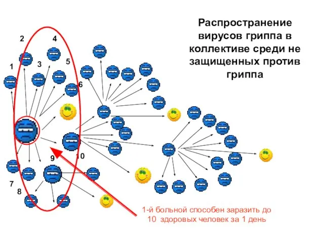 Распространение вирусов гриппа в коллективе среди не защищенных против гриппа 1-й больной