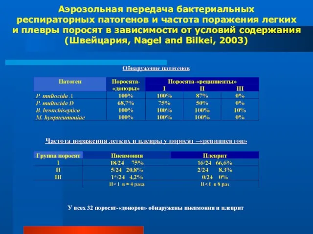 Аэрозольная передача бактериальных респираторных патогенов и частота поражения легких и плевры поросят