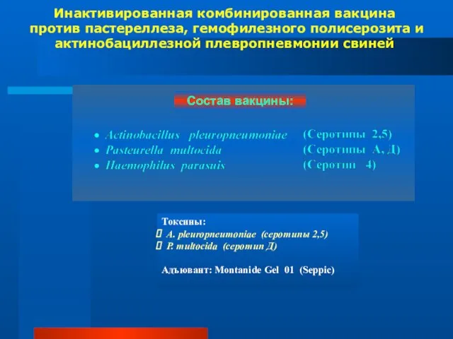 Инактивированная комбинированная вакцина против пастереллеза, гемофилезного полисерозита и актинобациллезной плевропневмонии свиней Токсины: