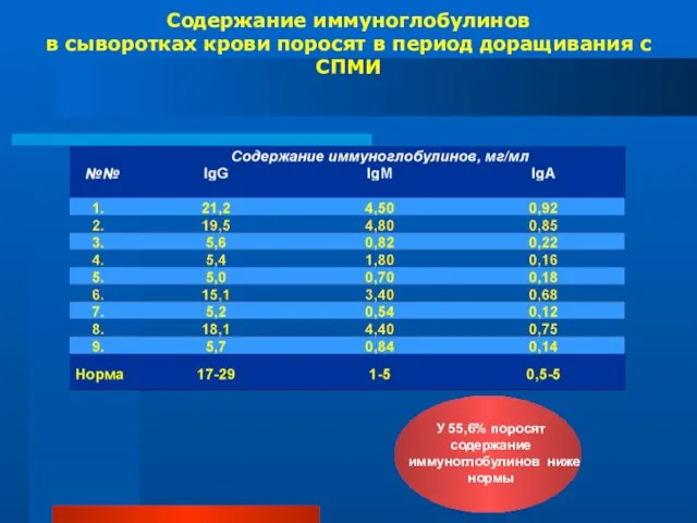 Содержание иммуноглобулинов в сыворотках крови поросят в период доращивания с СПМИ У