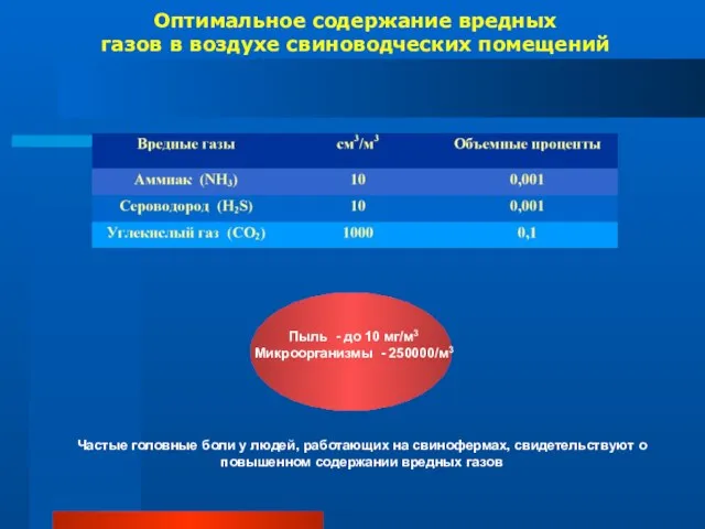 Оптимальное содержание вредных газов в воздухе свиноводческих помещений Пыль - до 10