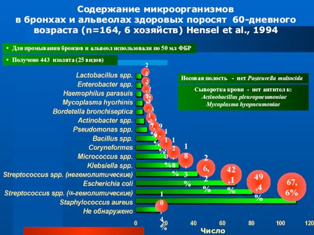 Содержание микроорганизмов в бронхах и альвеолах здоровых поросят 60-дневного возраста (n=164, 6