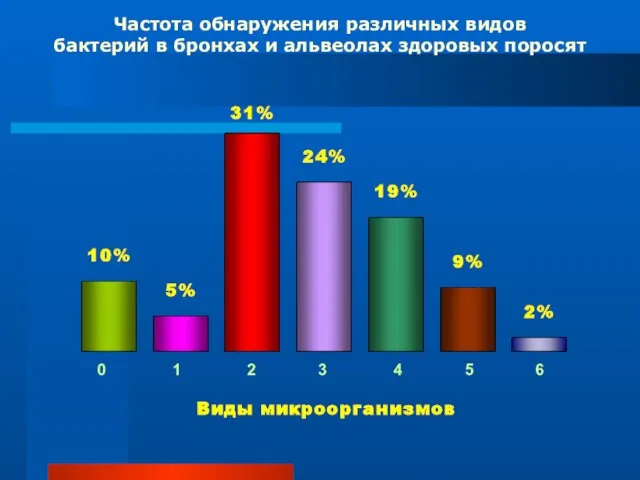 Частота обнаружения различных видов бактерий в бронхах и альвеолах здоровых поросят 0