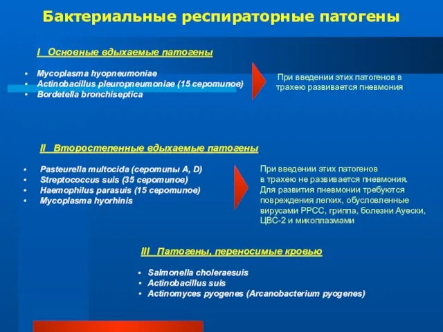 Бактериальные респираторные патогены I Основные вдыхаемые патогены Mycoplasma hyopneumoniae Actinobacillus pleuropneumoniae (15