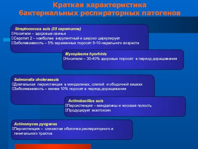 Streptoсоссus suis (35 серотипов) Носители – здоровые свиньи Серотип 2 – наиболее