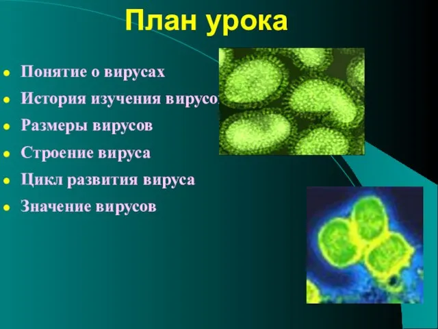 План урока Понятие о вирусах История изучения вирусов Размеры вирусов Строение вируса