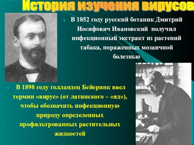 История изучения вирусов В 1852 году русский ботаник Дмитрий Иосифович Ивановский получил