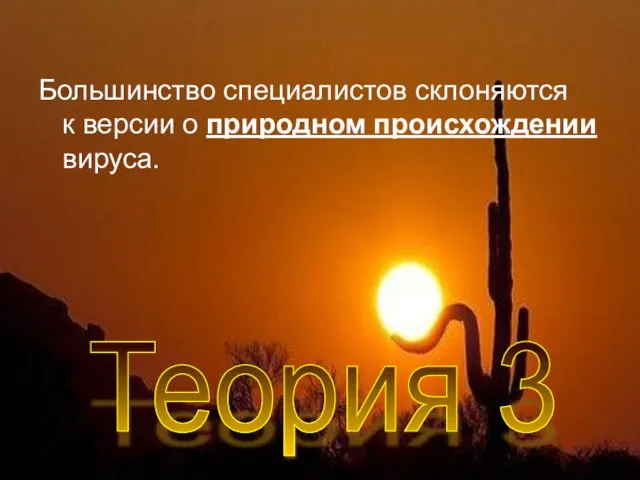 Большинство специалистов склоняются к версии о природном происхождении вируса. Теория 3