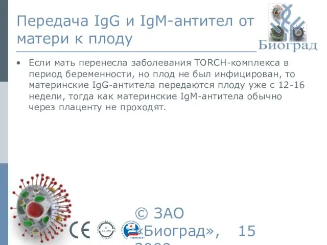 © ЗАО «Биоград», 2009г. Передача IgG и IgM-антител от матери к плоду
