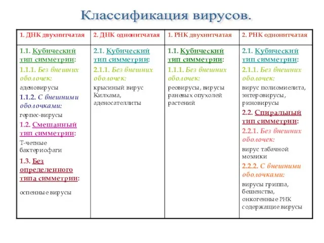 Классификация вирусов.