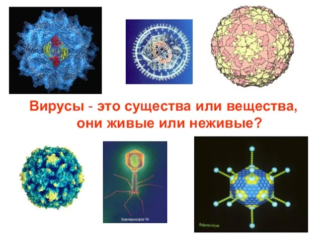 Вирусы - это существа или вещества, они живые или неживые?