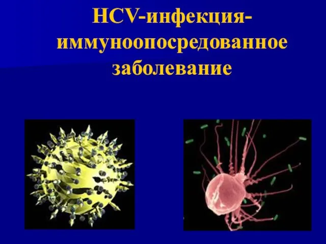 НСV-инфекция- иммуноопосредованное заболевание