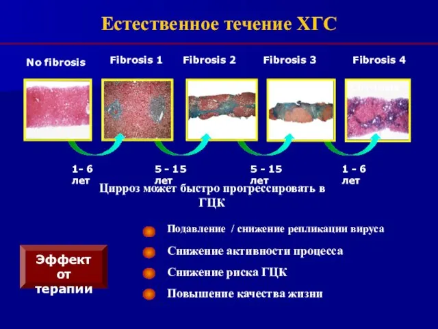 5 - 15 лет 5 - 15 лет 1 - 6 лет