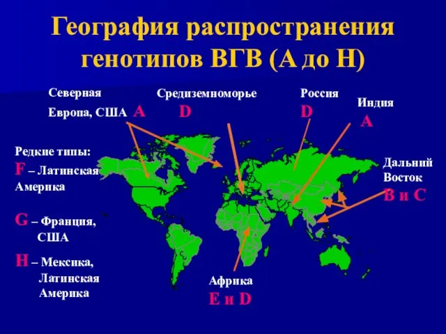 Редкие типы: F – Латинская Америка G – Франция, США H –