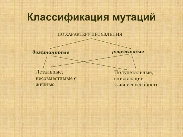 Классификация мутаций ПО ХАРАКТЕРУ ПРОЯВЛЕНИЯ рецессивные Летальные, несовместимые с жизнью Полулетальные, снижающие жизнеспособность доминантные