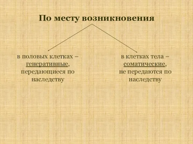 По месту возникновения в половых клетках – генеративные, передающиеся по наследству в