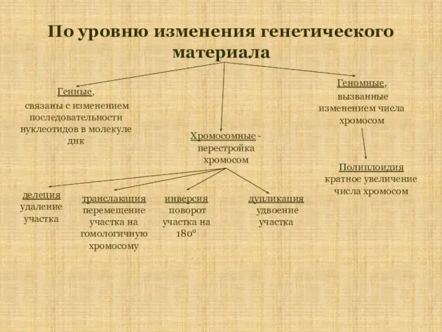 По уровню изменения генетического материала Генные, связаны с изменением последовательности нуклеотидов в