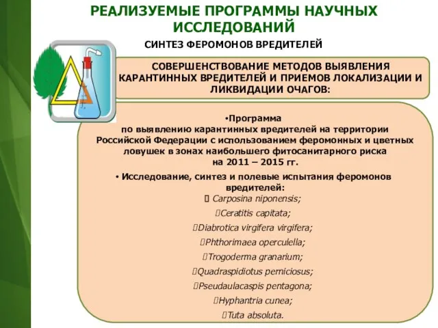 Программа по выявлению карантинных вредителей на территории Российской Федерации с использованием феромонных