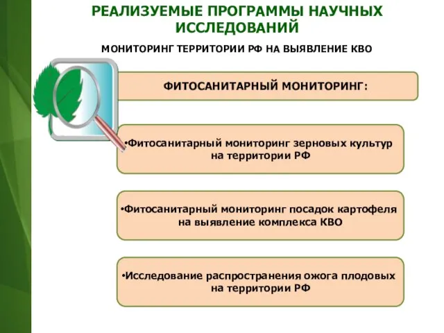 Фитосанитарный мониторинг зерновых культур на территории РФ ФИТОСАНИТАРНЫЙ МОНИТОРИНГ: Фитосанитарный мониторинг посадок