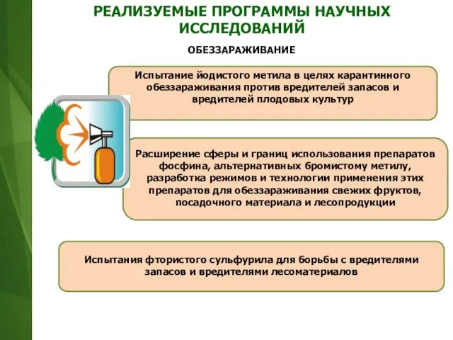 Расширение сферы и границ использования препаратов фосфина, альтернативных бромистому метилу, разработка режимов