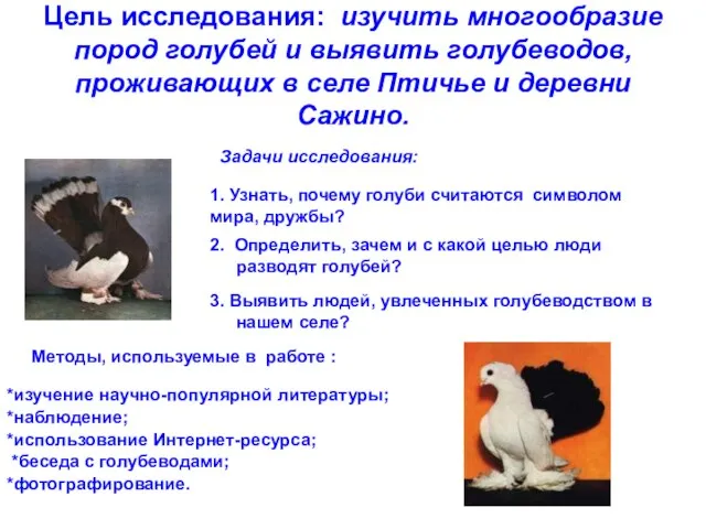 Цель исследования: изучить многообразие пород голубей и выявить голубеводов, проживающих в селе