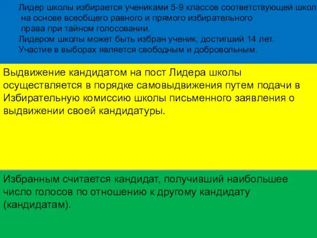 Ученическое самоуправление в школе С. Гизель-Дере, 2009 Выдвижение кандидатом на пост Лидера