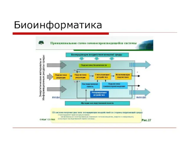 Биоинформатика