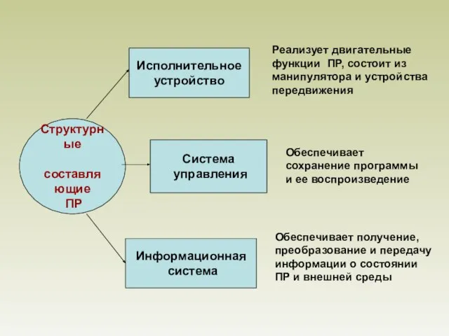 Структурные составляющие ПР Исполнительное устройство Система управления Информационная система Реализует двигательные функции