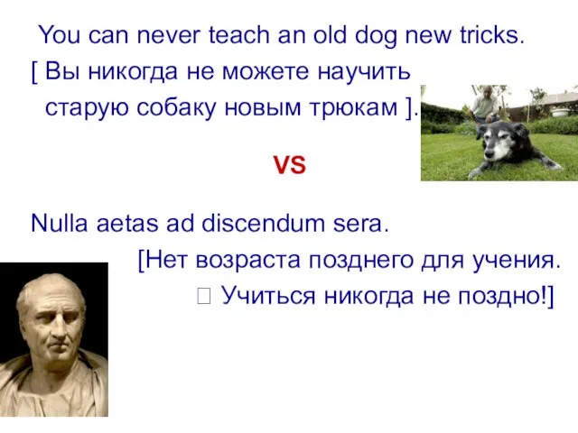 You can never teach an old dog new tricks. [ Вы никогда