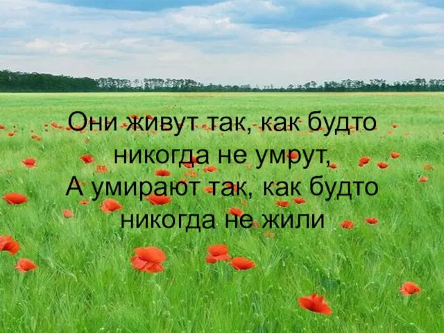 Они живут так, как будто никогда не умрут, А умирают так, как будто никогда не жили