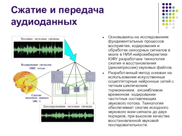 Сжатие и передача аудиоданных Основываясь на исследованиях фундаментальных процессов восприятия, кодирования и