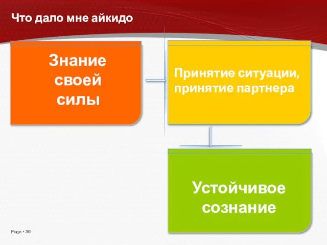 Что дало мне айкидо Знание своей силы Принятие ситуации, принятие партнера Устойчивое сознание