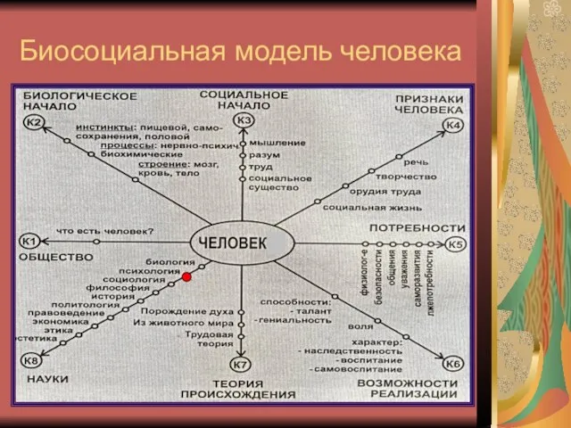 Биосоциальная модель человека