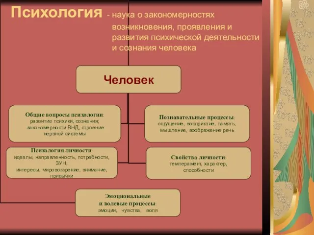 Психология - наука о закономерностях возникновения, проявления и развития психической деятельности и сознания человека