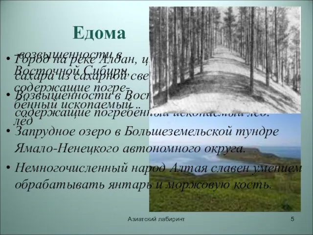 Азиатский лабиринт Едома Город на реке Алдан, центр по производству сахара из