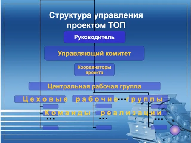 Структура управления проектом ТОП