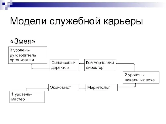 Модели служебной карьеры «Змея» 1 уровень-мастер Экономист Маркетолог 2 уровень-начальник цеха Коммерческий